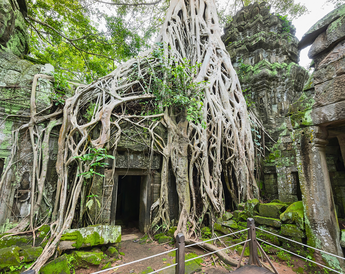Ta Prohm Temple Cambodia